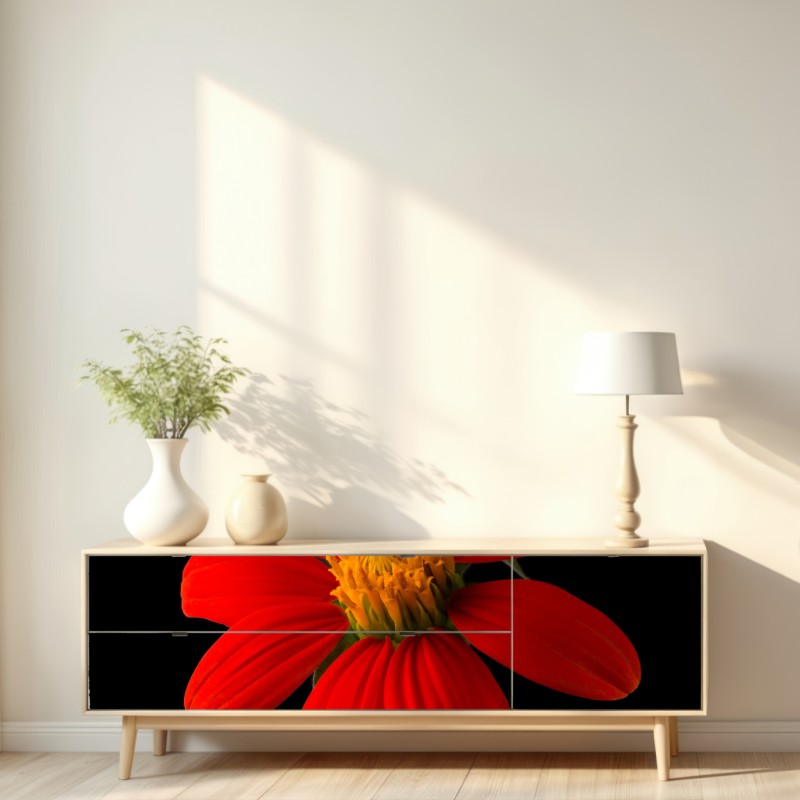 Naklejka repozycjonowalna żywy słonecznik meksykański na czarnym tle – Wallissimo® Naklejka repozycjonowalna żywy słonecznik meksykański na czarnym tle – Wallissimo®