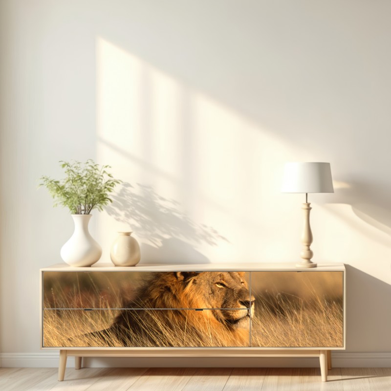 Naklejka repozycjonowalna majestatyczny lew w wysokiej trawie – Wallissimo® Naklejka repozycjonowalna majestatyczny lew w wysokiej trawie – Wallissimo®