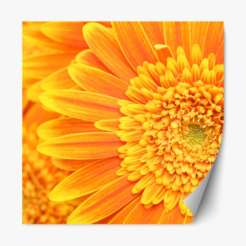 Naklejka repozycjonowalna tropikalne liście bananowca – Wallissimo®