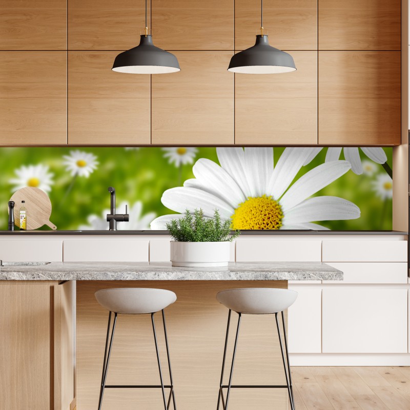 Naklejka repozycjonowalna białe stokrotki na łące