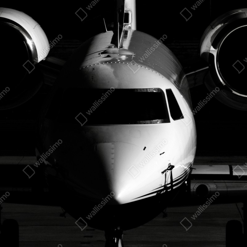 Naklejka repozycjonowalna monochromatyczny przód prywatnego odrzutowca – Wallissimo® Naklejka repozycjonowalna monochromatyczny przód prywatnego odrzutowca – Wallissimo®