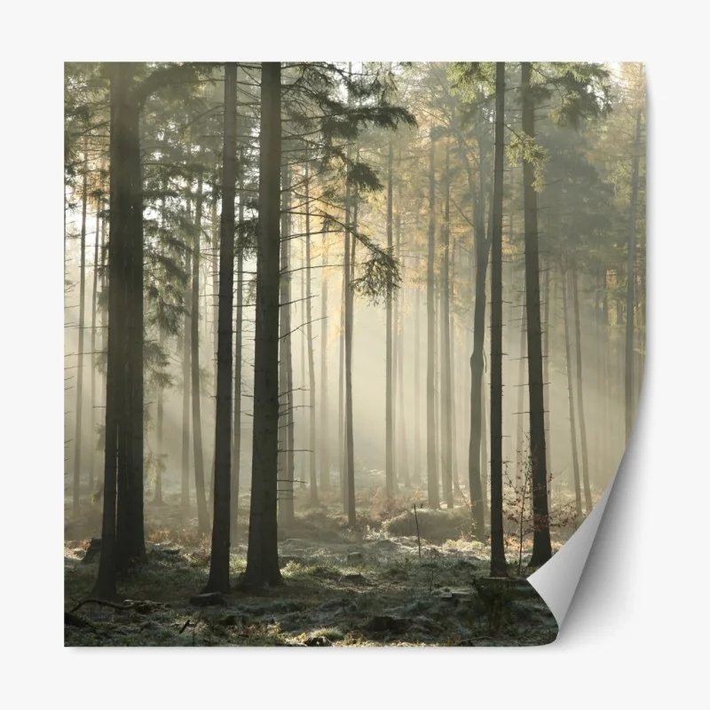 Naklejka repozycjonowalna spokojna plaża Konyaalti, Antalya – Wallissimo®