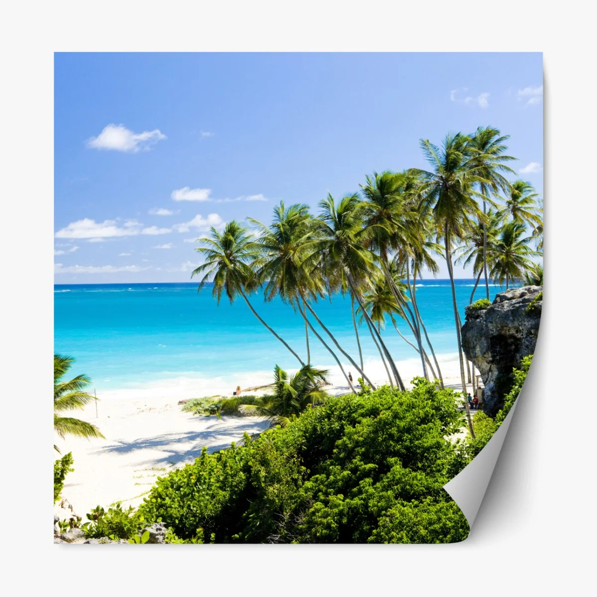 Naklejka repozycjonowalna Bottom Bay plaża z palmami, Barbados – Wallissimo® Naklejka repozycjonowalna Bottom Bay plaża z palmami, Barbados – Wallissimo®