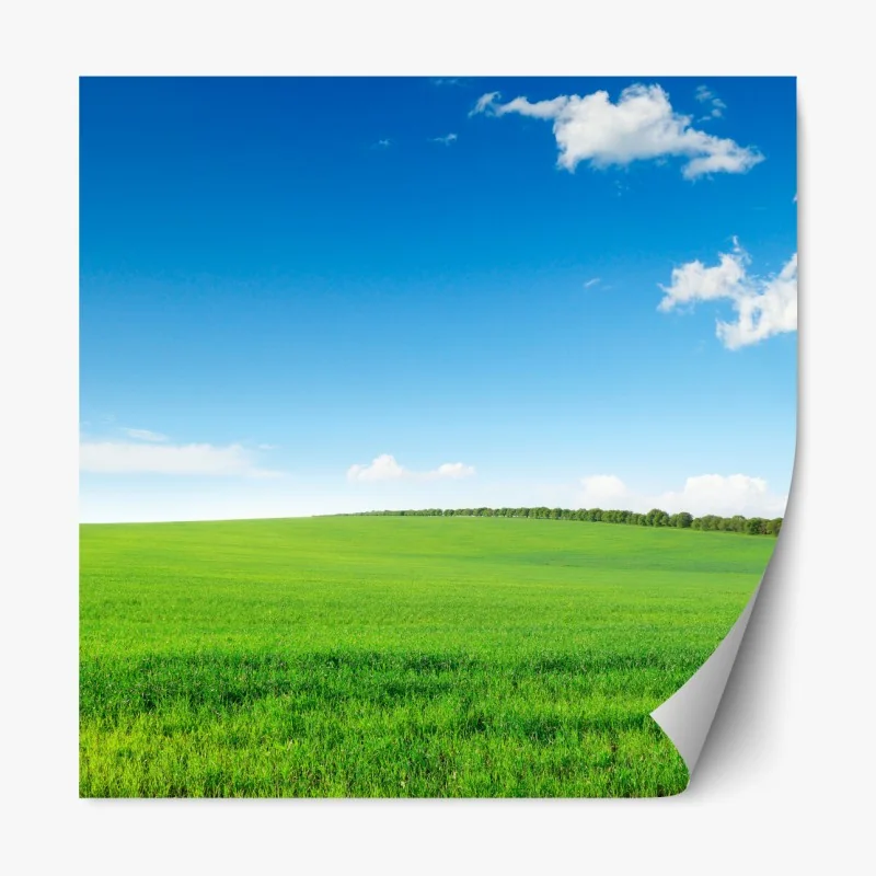 Naklejka repozycjonowalna słoneczny dzień na plaży – Wallissimo®