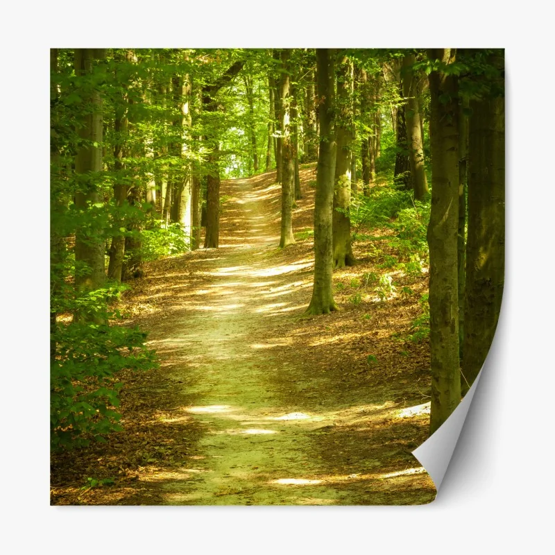 Naklejka repozycjonowalna akwarelowy wzór liści monstery – Wallissimo®