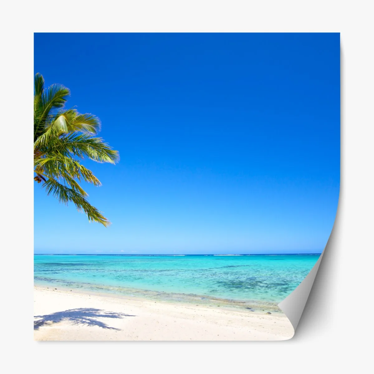 Naklejka repozycjonowalna tropikalna plaża z palmą – Wallissimo® Naklejka repozycjonowalna tropikalna plaża z palmą – Wallissimo®