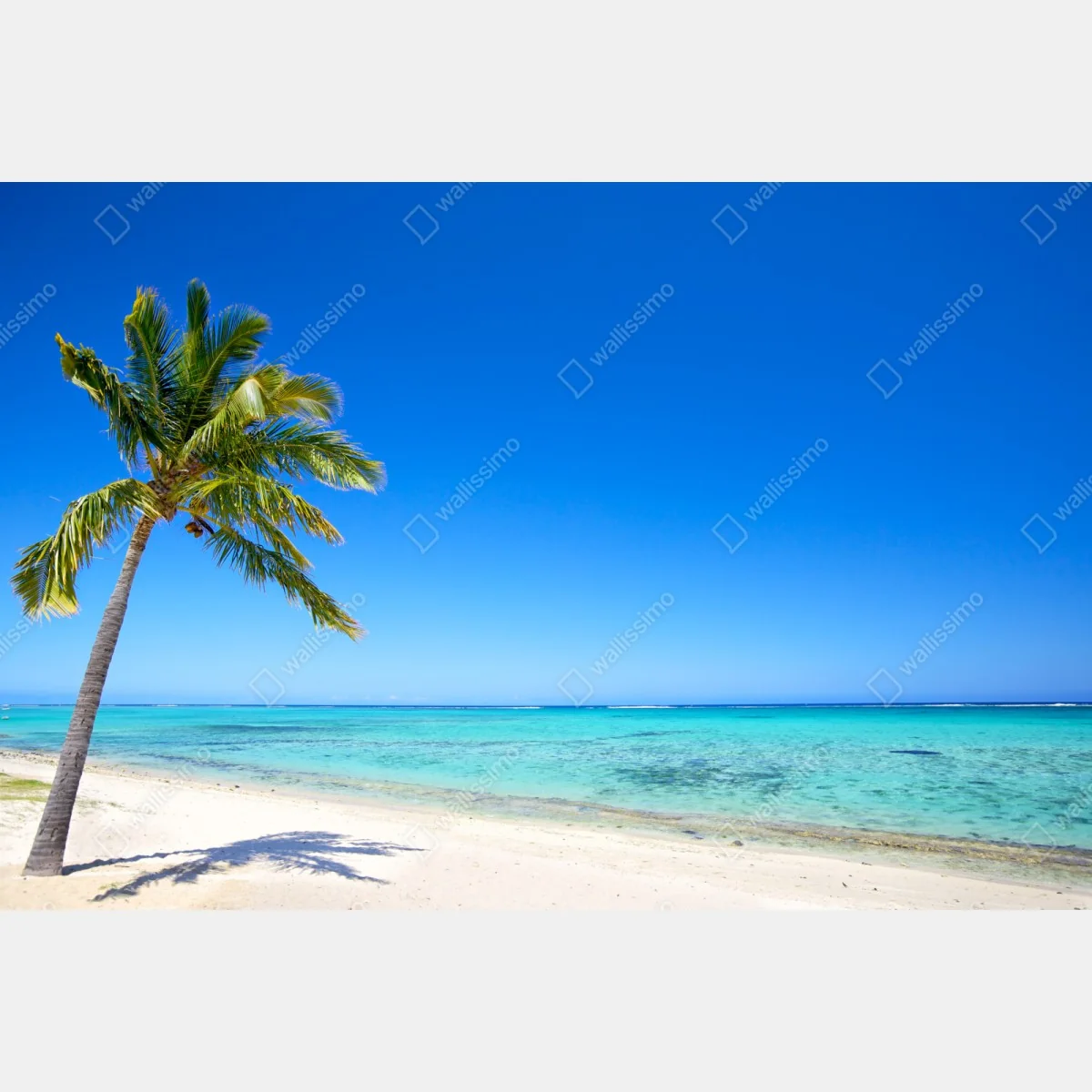 Naklejka repozycjonowalna tropikalna plaża z palmą – Wallissimo® Naklejka repozycjonowalna tropikalna plaża z palmą – Wallissimo®