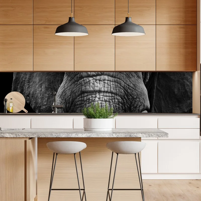 Naklejka repozycjonowalna sucha protea w sepii – Wallissimo®