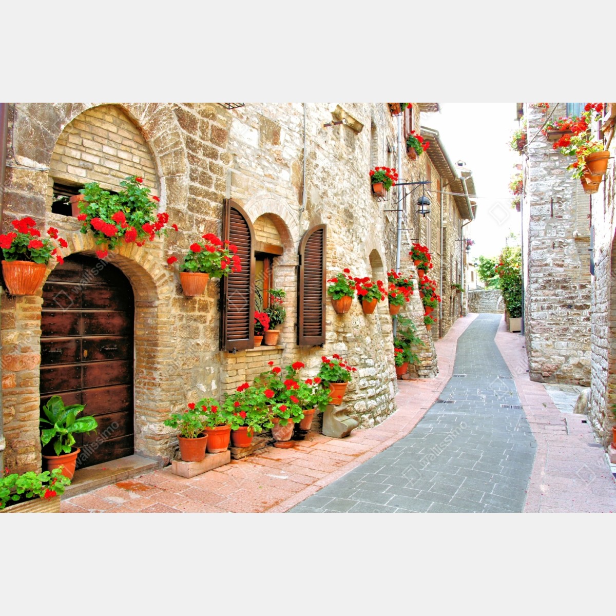 Naklejka repozycjonowalna słoneczna kamienna uliczka z czerwonymi pelargoniami – Wallissimo® Naklejka repozycjonowalna słoneczna kamienna uliczka z czerwonymi pelargoniami – Wallissimo®