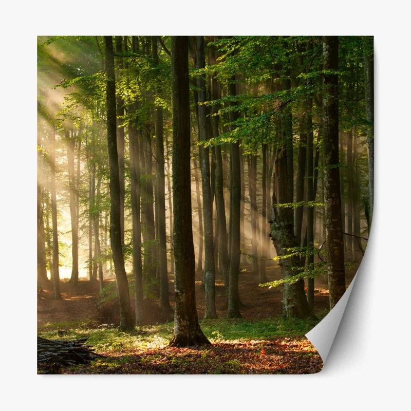 Naklejka repozycjonowalna zebra w monochromatycznych paskach – Wallissimo®