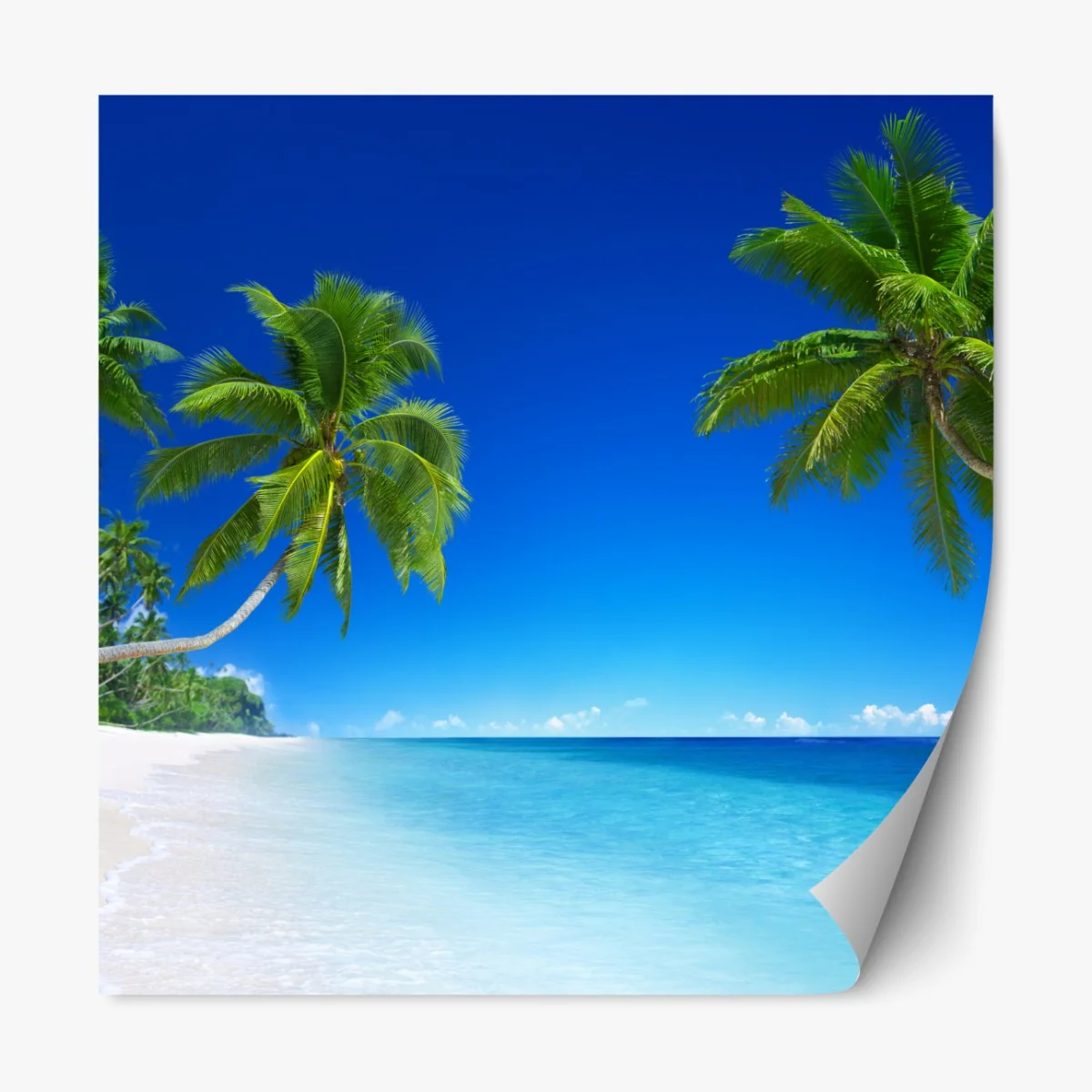 Naklejka repozycjonowalna tropikalna plaża z palmami – Wallissimo® Naklejka repozycjonowalna tropikalna plaża z palmami – Wallissimo®