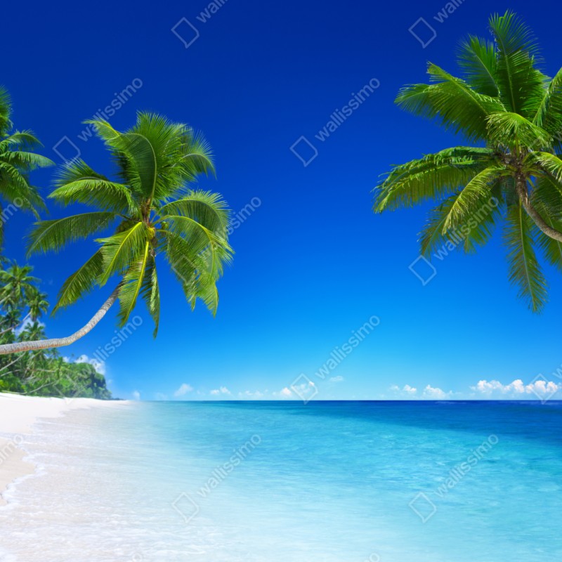 Naklejka repozycjonowalna tropikalna plaża z palmami – Wallissimo® Naklejka repozycjonowalna tropikalna plaża z palmami – Wallissimo®