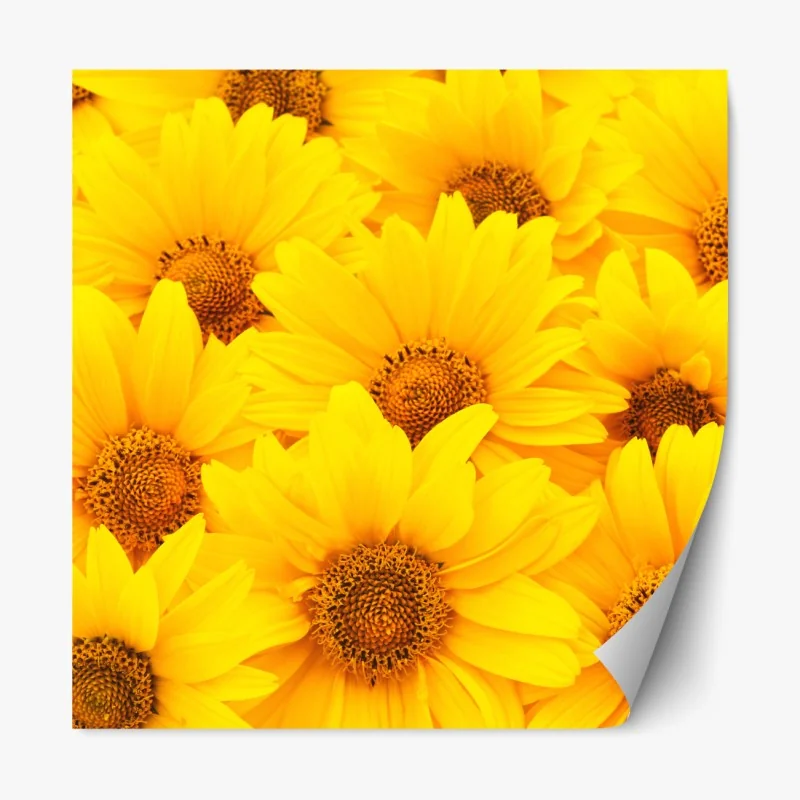 Naklejka repozycjonowalna elegancki beżowy wzór damask – Wallissimo®