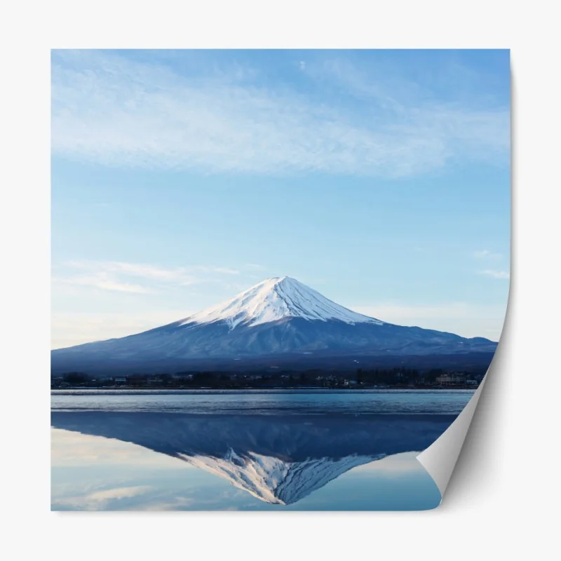 Naklejka repozycjonowalna delikatny dmuchawiec w monochromie – Wallissimo®