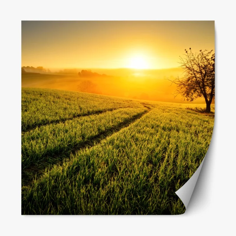 Naklejka repozycjonowalna radosny geometryczny wzór – Wallissimo®