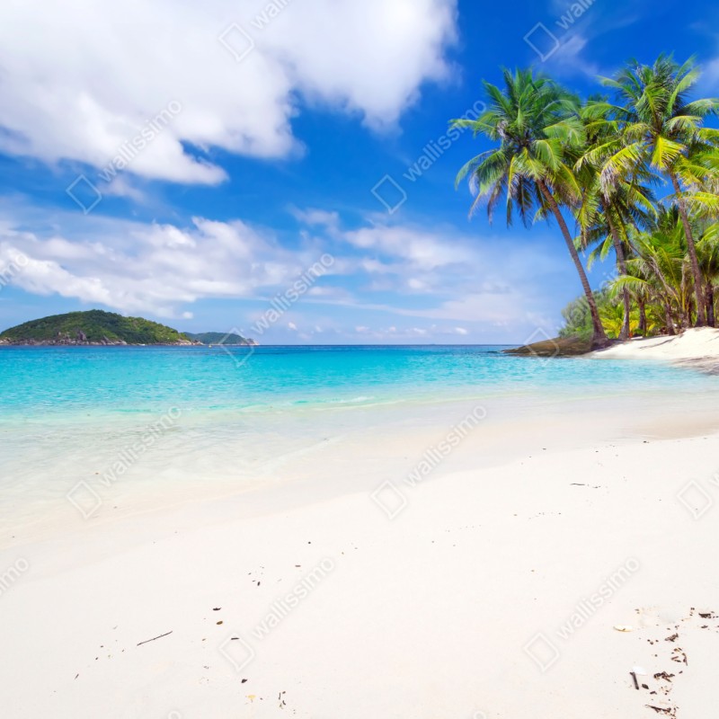 Naklejka repozycjonowalna tropikalna turkusowa plaża – Wallissimo® Naklejka repozycjonowalna tropikalna turkusowa plaża – Wallissimo®