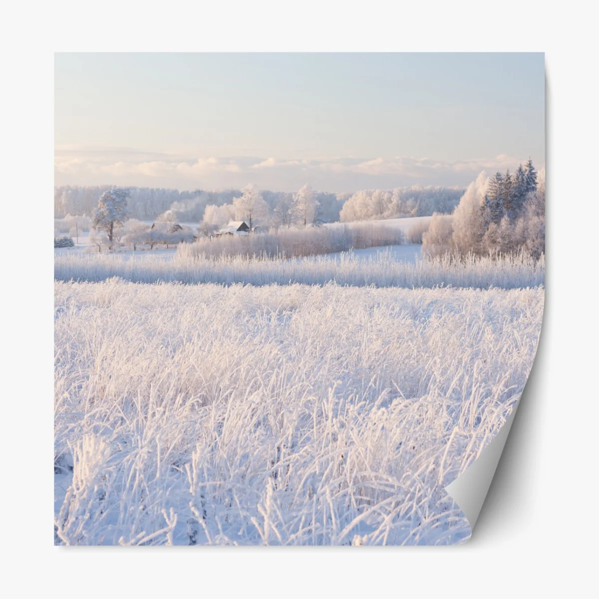 Naklejka repozycjonowalna szronowa łąka o poranku – Wallissimo® Naklejka repozycjonowalna szronowa łąka o poranku – Wallissimo®