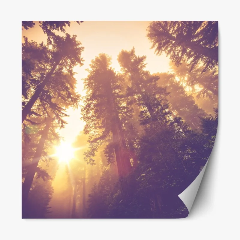 Naklejka repozycjonowalna tropikalny wzór ze strelicjami – Wallissimo®