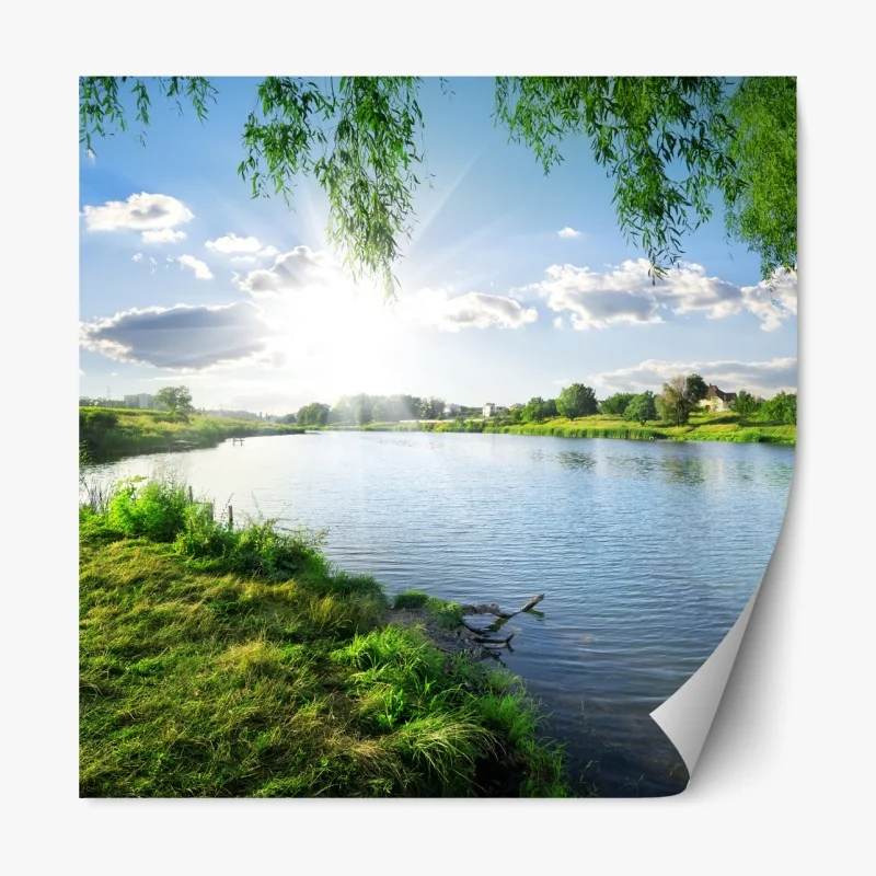 Naklejka repozycjonowalna nasłoneczniony brzeg rzeki z bujną zielenią
