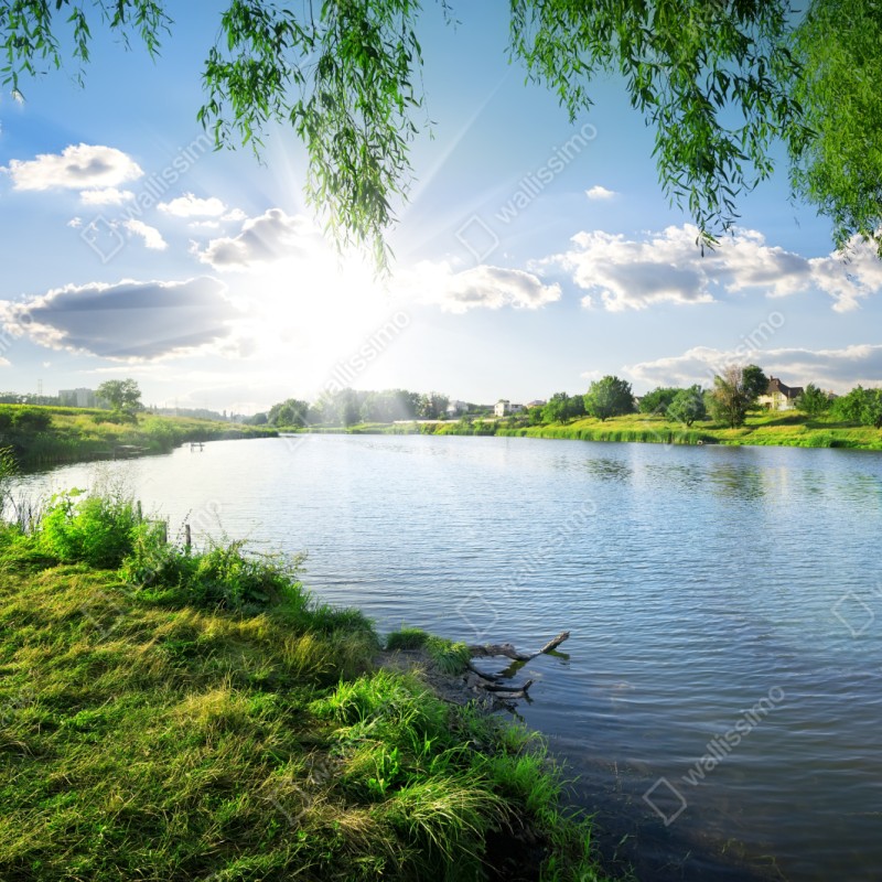 Naklejka repozycjonowalna nasłoneczniony brzeg rzeki z bujną zielenią – Wallissimo® Naklejka repozycjonowalna nasłoneczniony brzeg rzeki z bujną zielenią – Wallissimo®