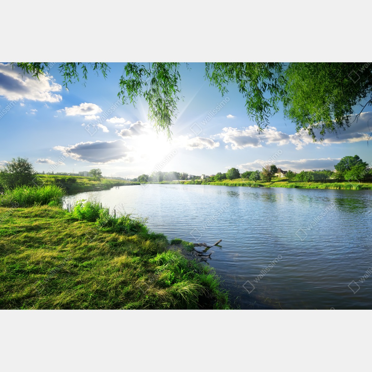 Naklejka repozycjonowalna nasłoneczniony brzeg rzeki z bujną zielenią – Wallissimo® Naklejka repozycjonowalna nasłoneczniony brzeg rzeki z bujną zielenią – Wallissimo®