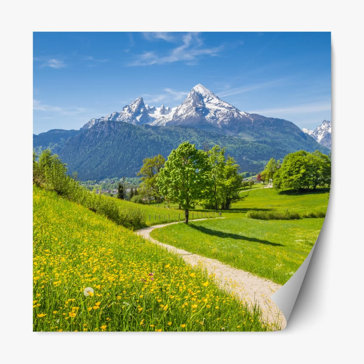 Naklejka repozycjonowalna alpejska wiosenna łąka z ośnieżonymi szczytami – Wallissimo® Naklejka repozycjonowalna alpejska wiosenna łąka z ośnieżonymi szczytami – Wallissimo®