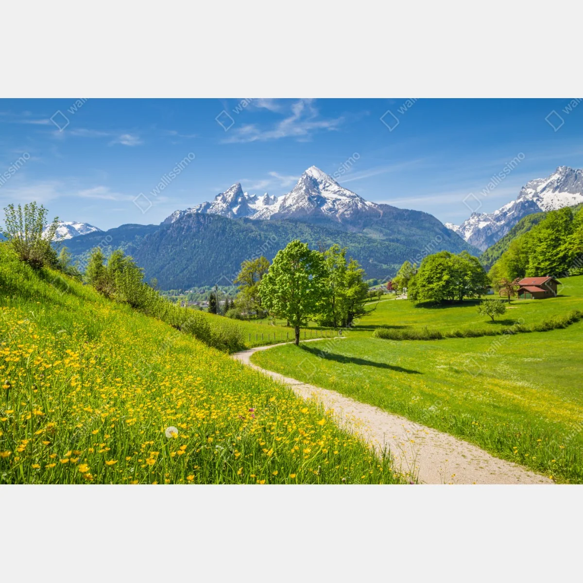 Naklejka repozycjonowalna alpejska wiosenna łąka z ośnieżonymi szczytami – Wallissimo® Naklejka repozycjonowalna alpejska wiosenna łąka z ośnieżonymi szczytami – Wallissimo®