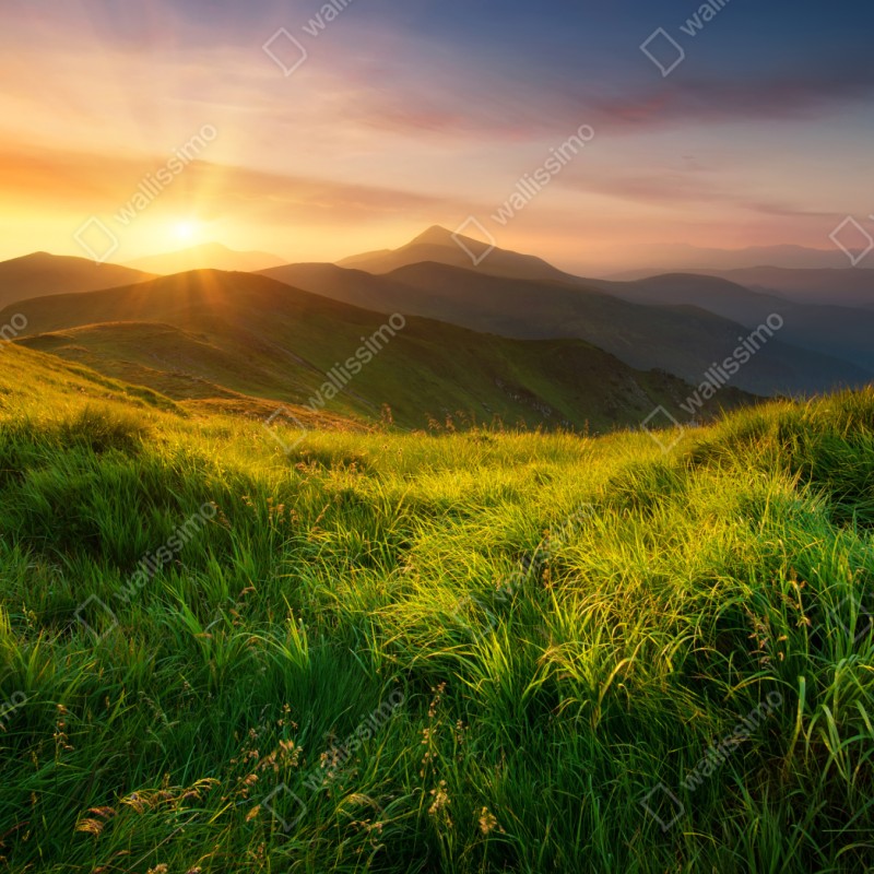 Naklejka repozycjonowalna wschód słońca nad zieloną doliną górską – Wallissimo® Naklejka repozycjonowalna wschód słońca nad zieloną doliną górską – Wallissimo®
