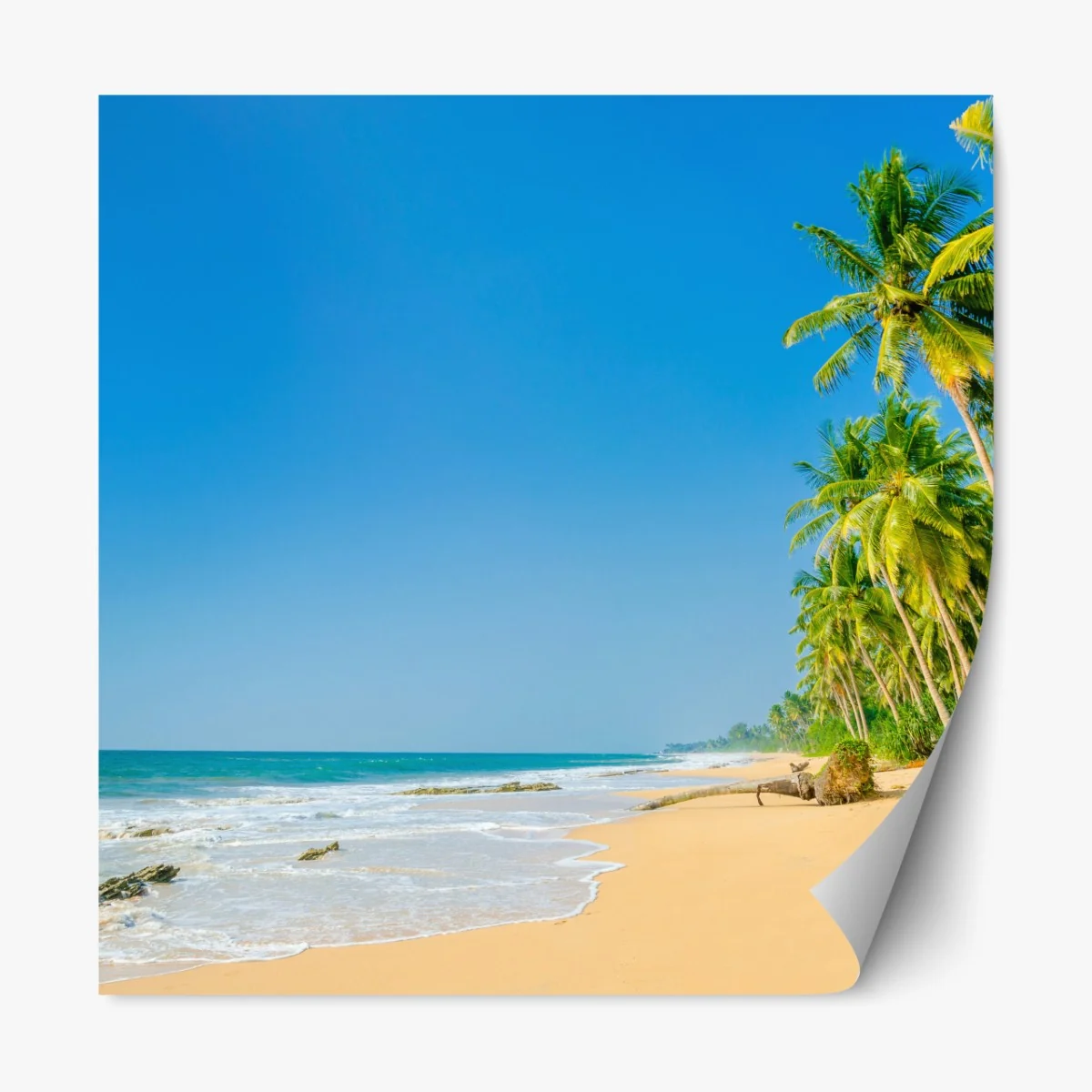 Naklejka repozycjonowalna tropikalna plaża z palmami – Wallissimo® Naklejka repozycjonowalna tropikalna plaża z palmami – Wallissimo®