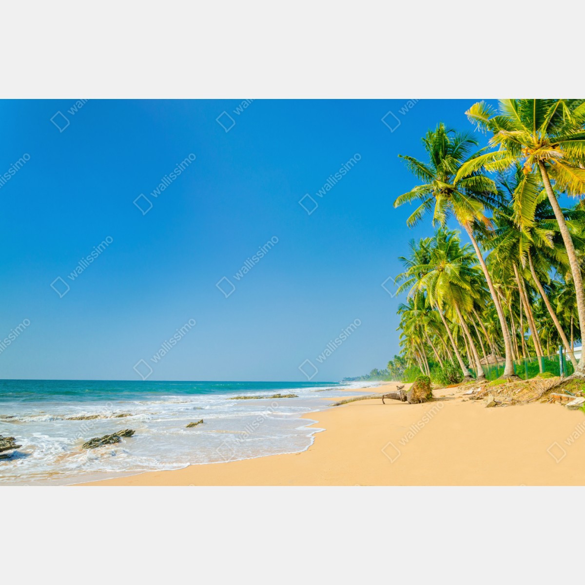 Naklejka repozycjonowalna tropikalna plaża z palmami – Wallissimo® Naklejka repozycjonowalna tropikalna plaża z palmami – Wallissimo®