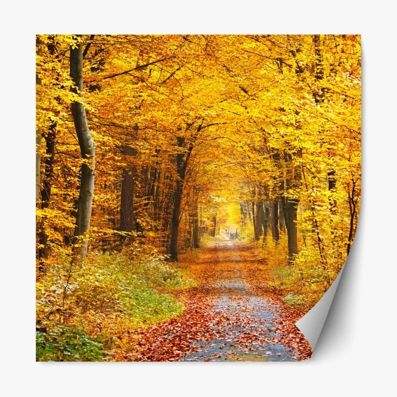 Naklejka repozycjonowalna mglisty wschód słońca nad wiejską łąką – Wallissimo®