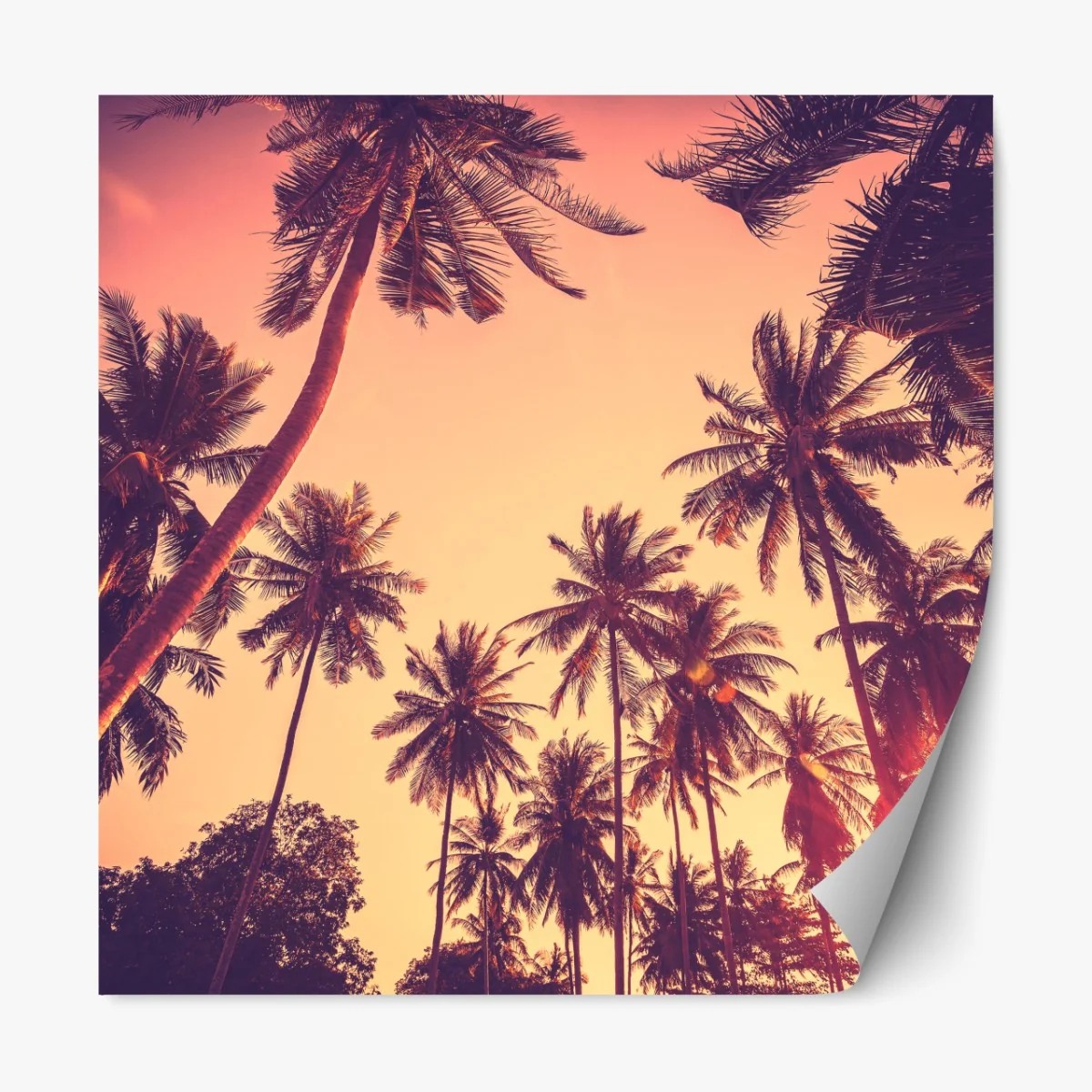 Naklejka repozycjonowalna vintage tropikalny zachód słońca z palmami – Wallissimo® Naklejka repozycjonowalna vintage tropikalny zachód słońca z palmami – Wallissimo®