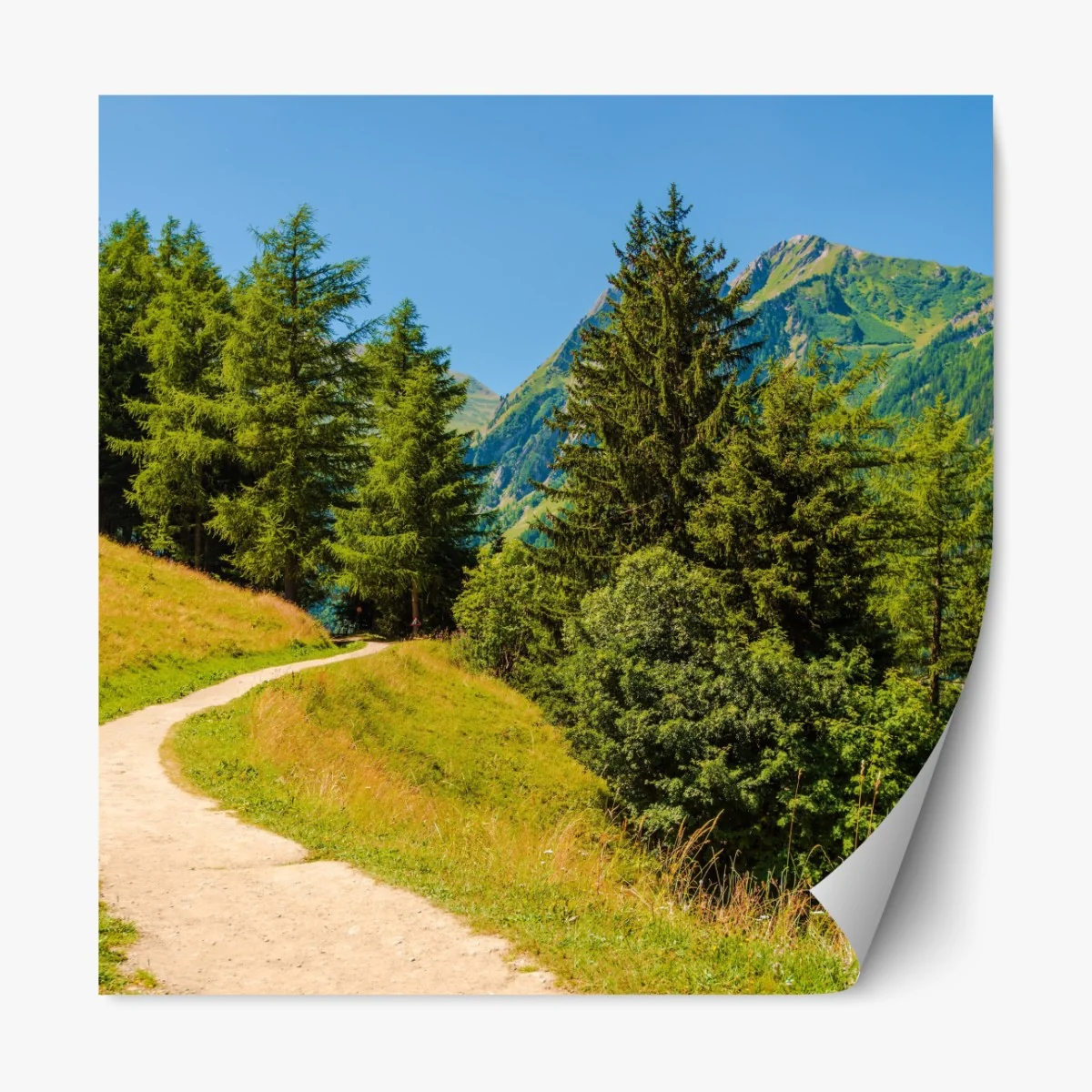 Naklejka repozycjonowalna szlak górski w Szwajcarii latem – Wallissimo® Naklejka repozycjonowalna szlak górski w Szwajcarii latem – Wallissimo®