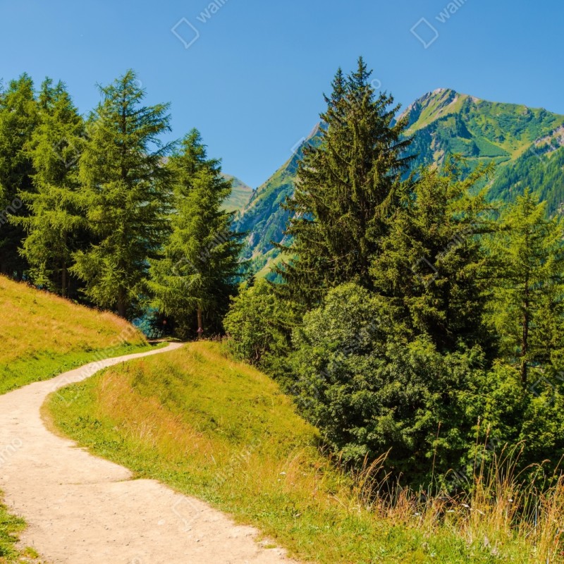 Naklejka repozycjonowalna szlak górski w Szwajcarii latem – Wallissimo® Naklejka repozycjonowalna szlak górski w Szwajcarii latem – Wallissimo®