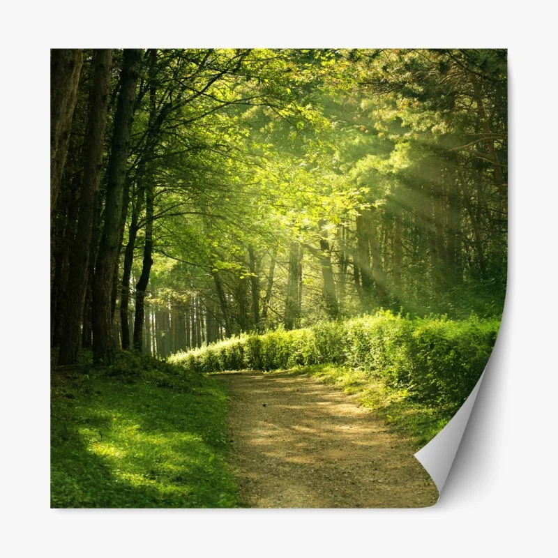 Naklejka repozycjonowalna tropikalny zachód słońca na plaży z sylwetkami palm – Wallissimo®