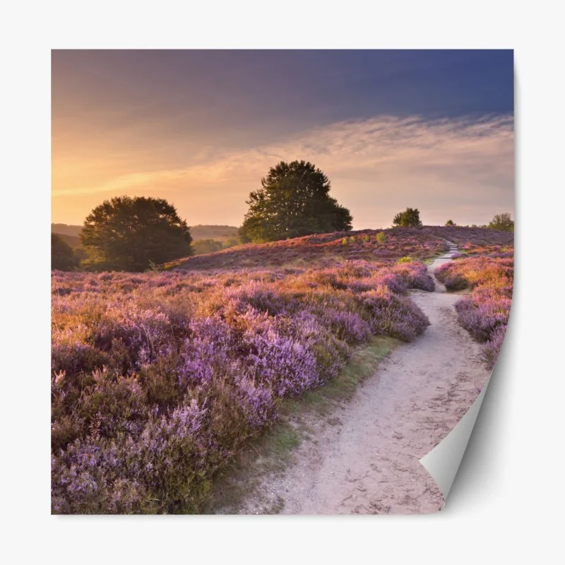 Naklejka repozycjonowalna rudy kociak w filiżance – Wallissimo®