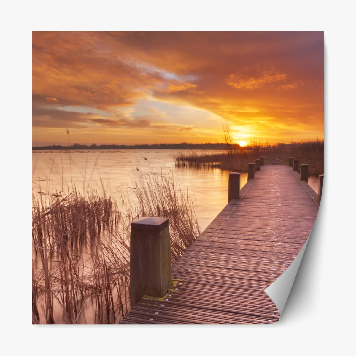 Naklejka repozycjonowalna wschód słońca nad jeziorem w Amsterdamie – Wallissimo® Naklejka repozycjonowalna wschód słońca nad jeziorem w Amsterdamie – Wallissimo®