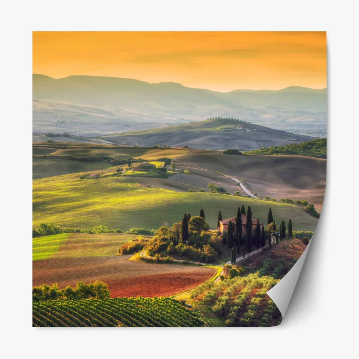 Naklejka repozycjonowalna Toskania sielankowe wzgórza o zachodzie słońca – Wallissimo® Naklejka repozycjonowalna Toskania sielankowe wzgórza o zachodzie słońca – Wallissimo®