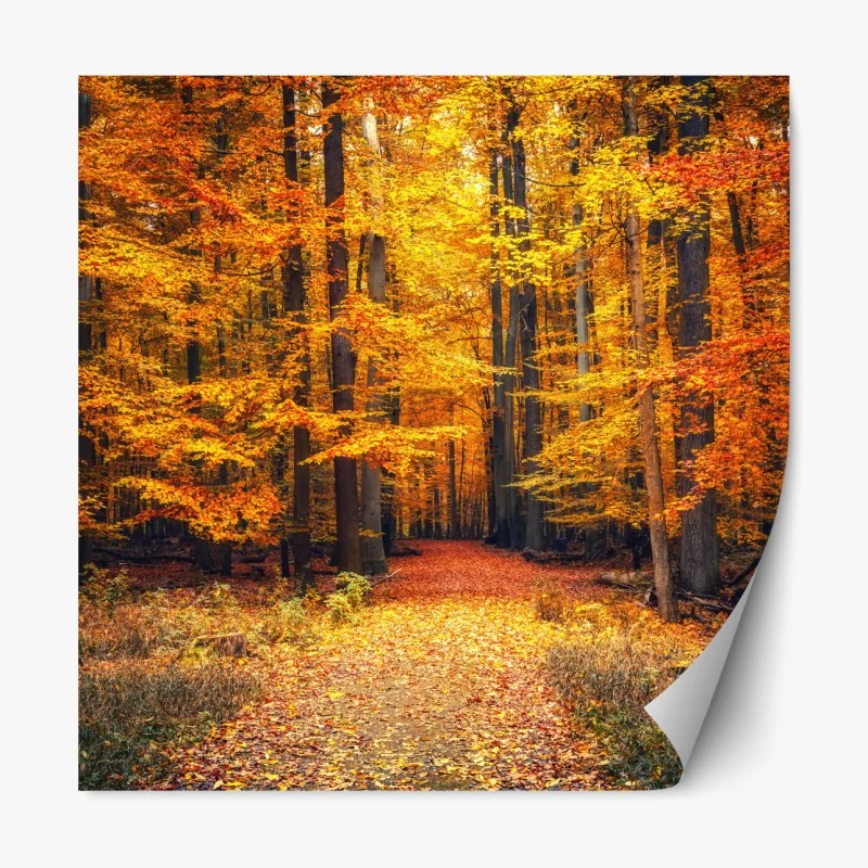 Naklejka repozycjonowalna widok z lotu ptaka na zatokę Port de Sóller – Wallissimo®