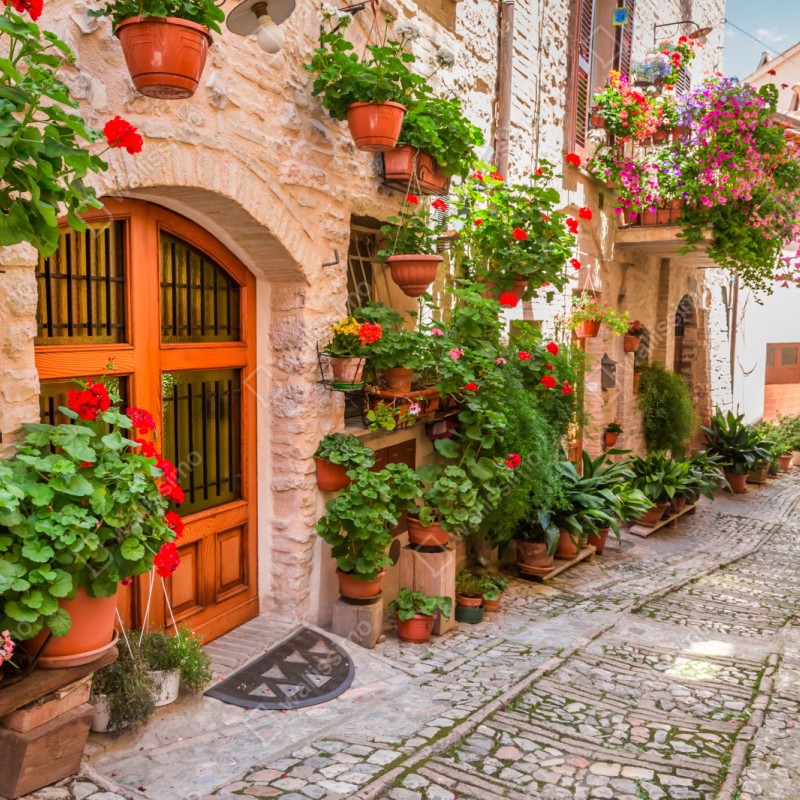 Naklejka repozycjonowalna słoneczna uliczka we Włochach z kwitnącymi donicami – Wallissimo®
