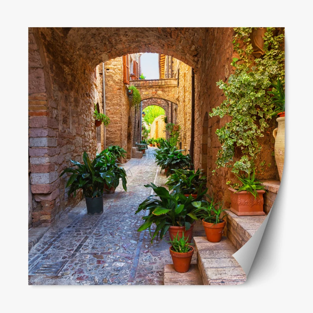 Naklejka repozycjonowalna słoneczna uliczka z doniczkami w Spello – Wallissimo® Naklejka repozycjonowalna słoneczna uliczka z doniczkami w Spello – Wallissimo®