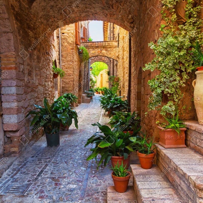 Naklejka repozycjonowalna słoneczna uliczka z doniczkami w Spello – Wallissimo® Naklejka repozycjonowalna słoneczna uliczka z doniczkami w Spello – Wallissimo®