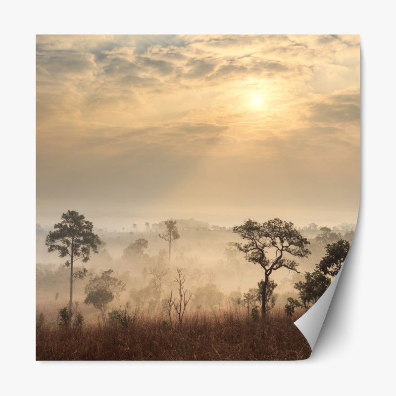 Naklejka repozycjonowalna błękitne jaskinie na Zakynthos – Wallissimo®