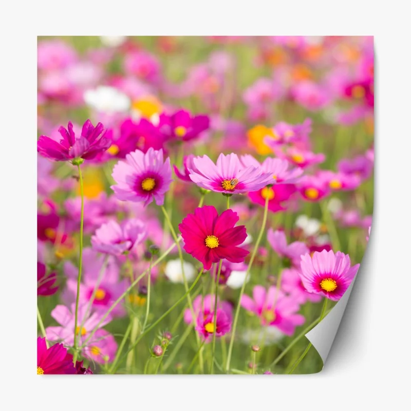 Naklejka repozycjonowalna spokojna ścieżka w bambusowym lesie – Wallissimo®