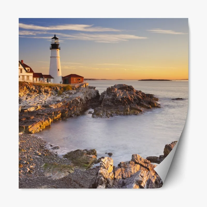 Naklejka repozycjonowalna zimowy las brzozowy ze złotym świtem – Wallissimo®