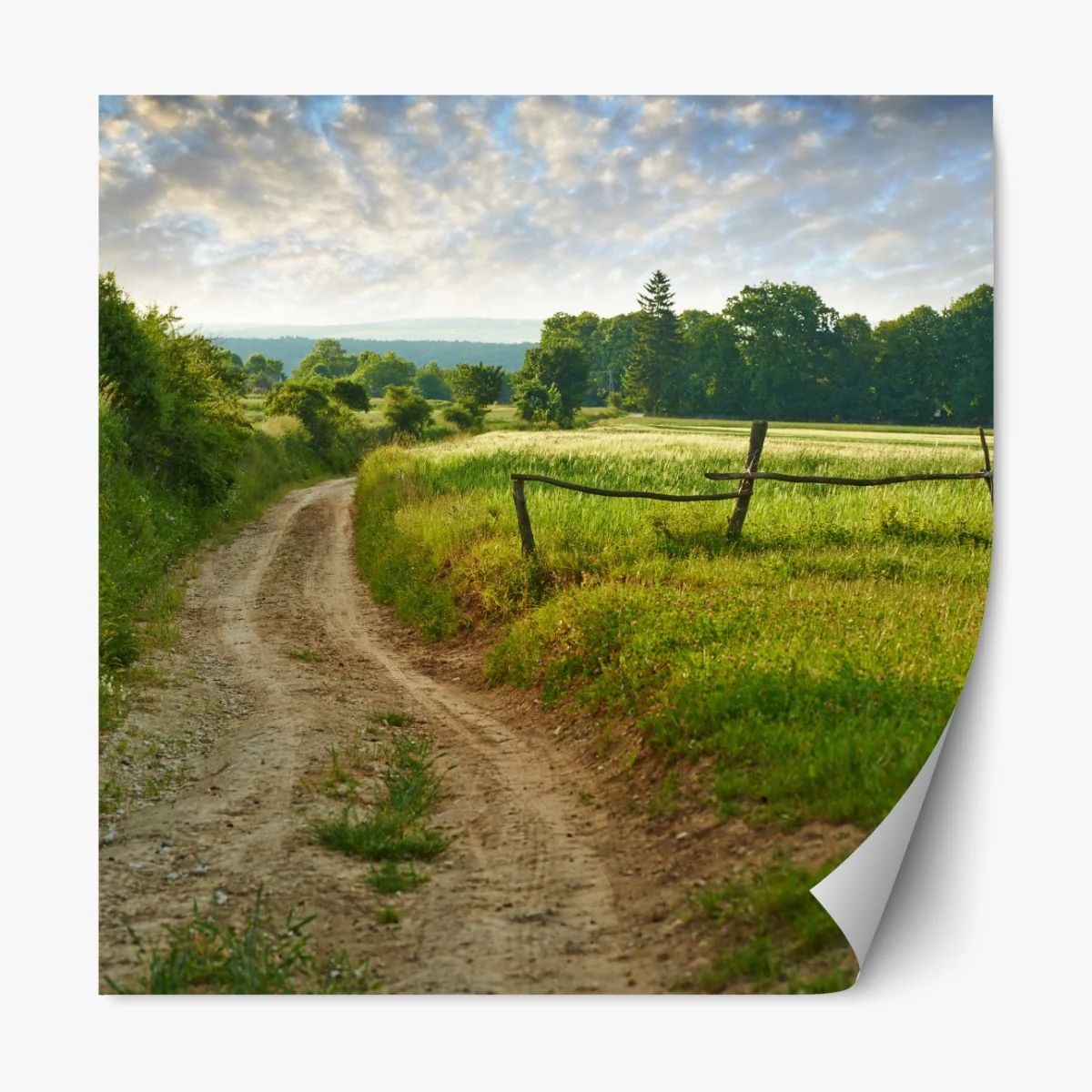 Naklejka repozycjonowalna słoneczna wiejska ścieżka przez zielone łąki – Wallissimo® Naklejka repozycjonowalna słoneczna wiejska ścieżka przez zielone łąki – Wallissimo®