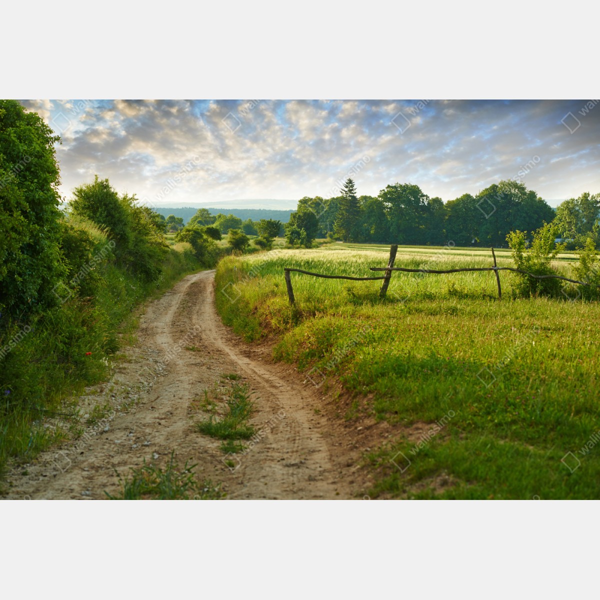 Naklejka repozycjonowalna słoneczna wiejska ścieżka przez zielone łąki – Wallissimo® Naklejka repozycjonowalna słoneczna wiejska ścieżka przez zielone łąki – Wallissimo®