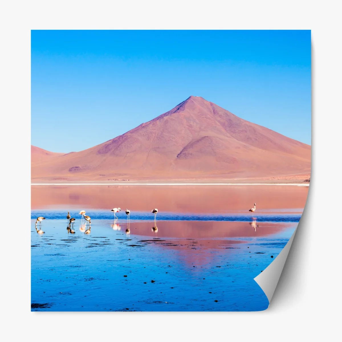 Naklejka repozycjonowalna flamingi nad Laguna Colorada, Boliwia – Wallissimo® Naklejka repozycjonowalna flamingi nad Laguna Colorada, Boliwia – Wallissimo®