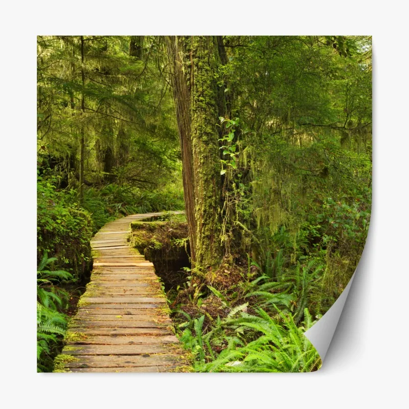 Naklejka repozycjonowalna delikatny różowy wzór peonii – Wallissimo®