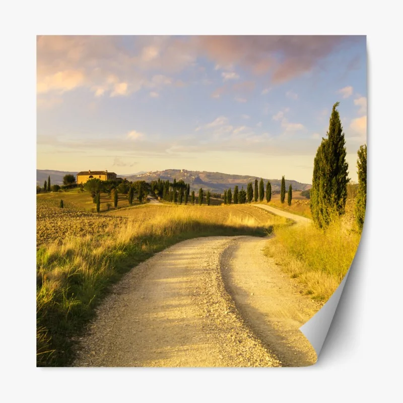 Naklejka repozycjonowalna złota wiejska droga wśród cyprysów
